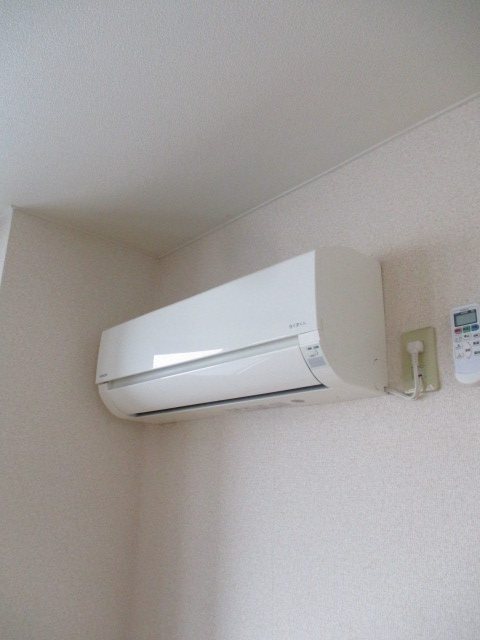 ステラK その他5