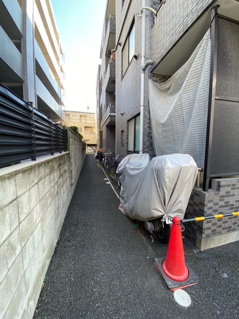ステラK その他4