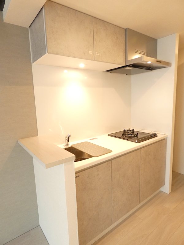 LEGALAND大井町ANNEX キッチン