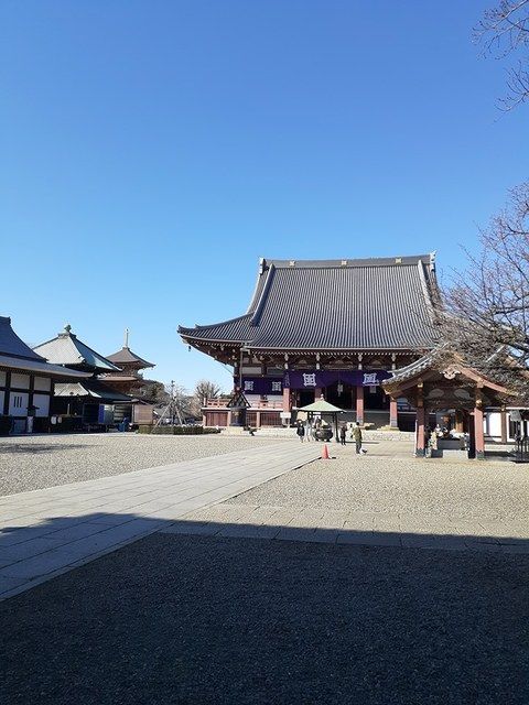 フォレストヒル その他7