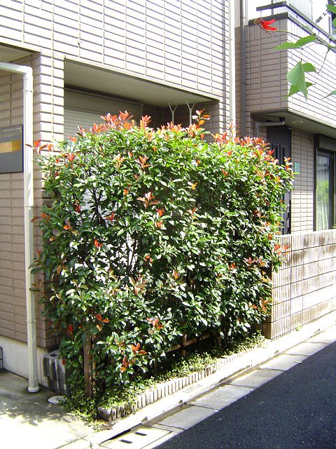 オーキットコート その他14