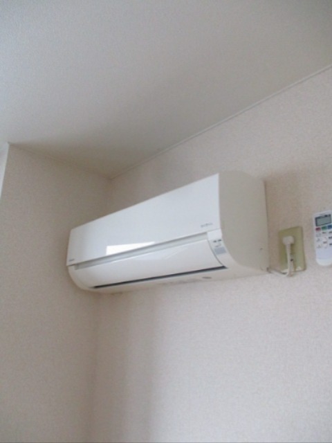 ステラK その他2