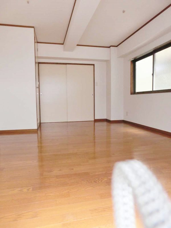 グラシアス大森 その他6