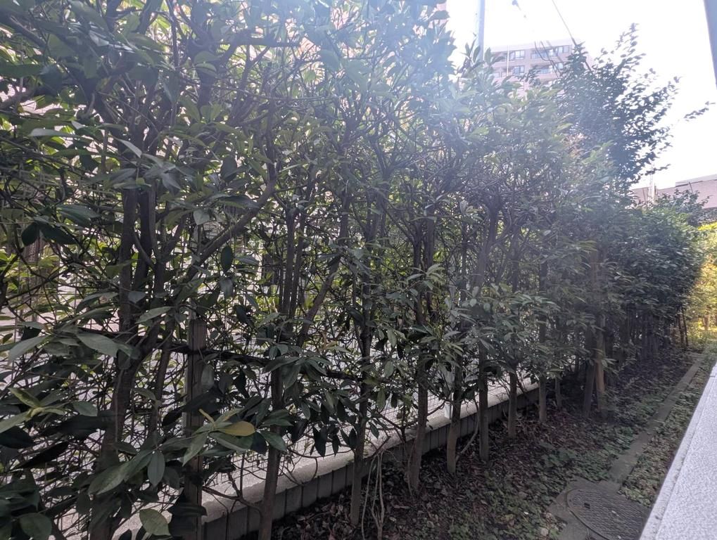 SANCTUS GARDEN 目黒 その他8