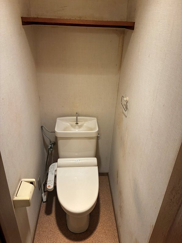 大井モモ・スクラムホームズ  その他2