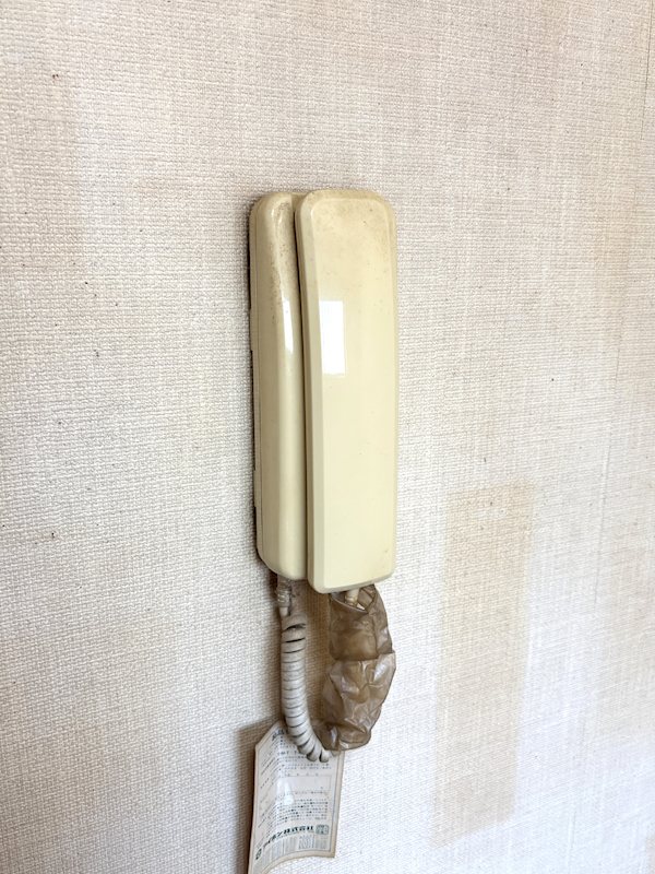 大井モモ・スクラムホームズ  その他4