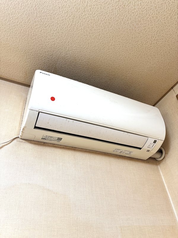 大井モモ・スクラムホームズ  その他5