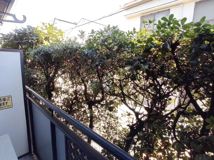 メゾンクアトロ その他4