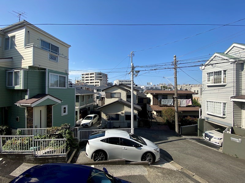 ハウスサンフラワー その他1