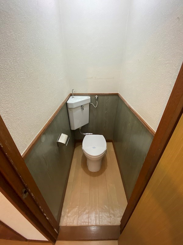 ハウスサンフラワー その他3