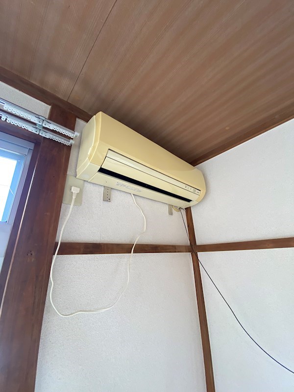 ハウスサンフラワー その他4