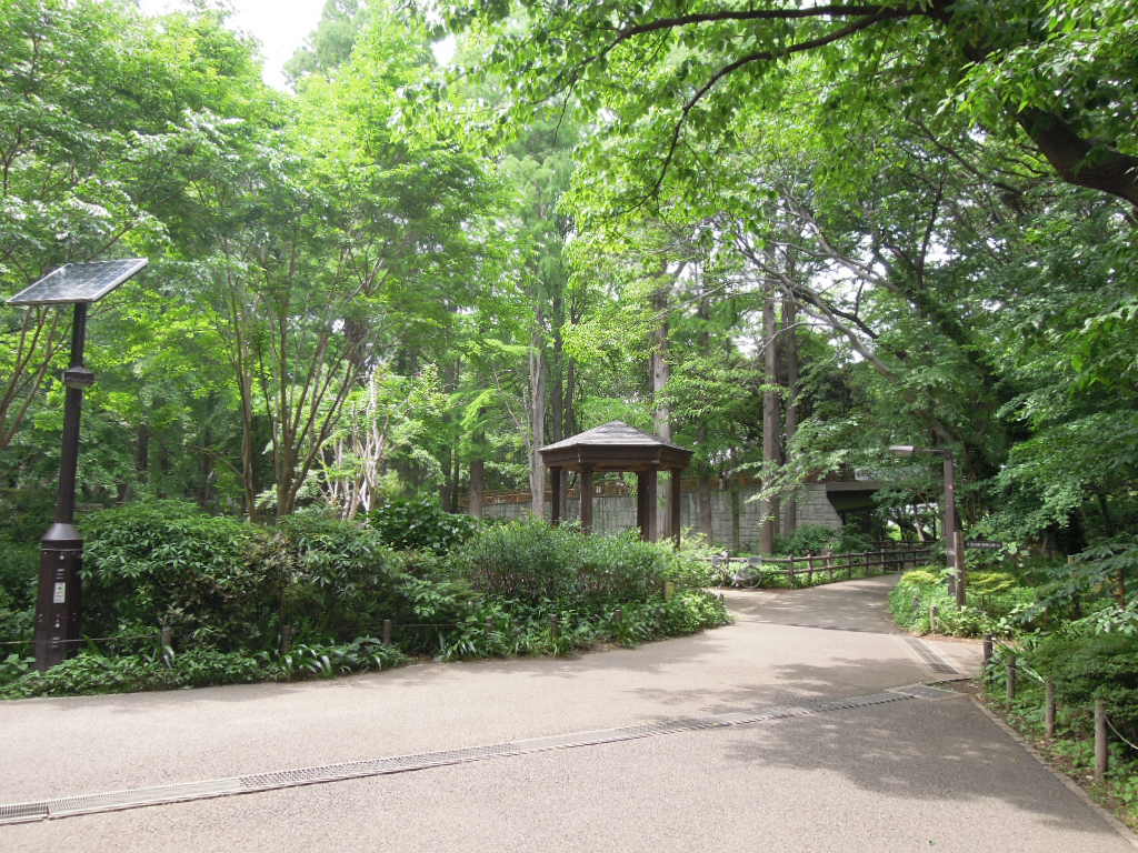 アルバア目黒本町 周辺画像4