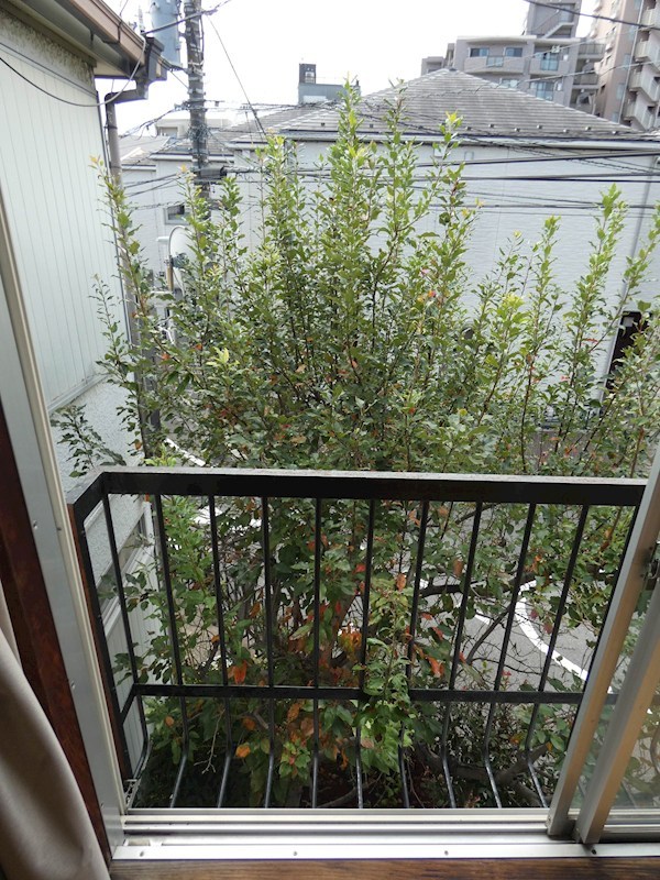 丹野ハイツ その他5