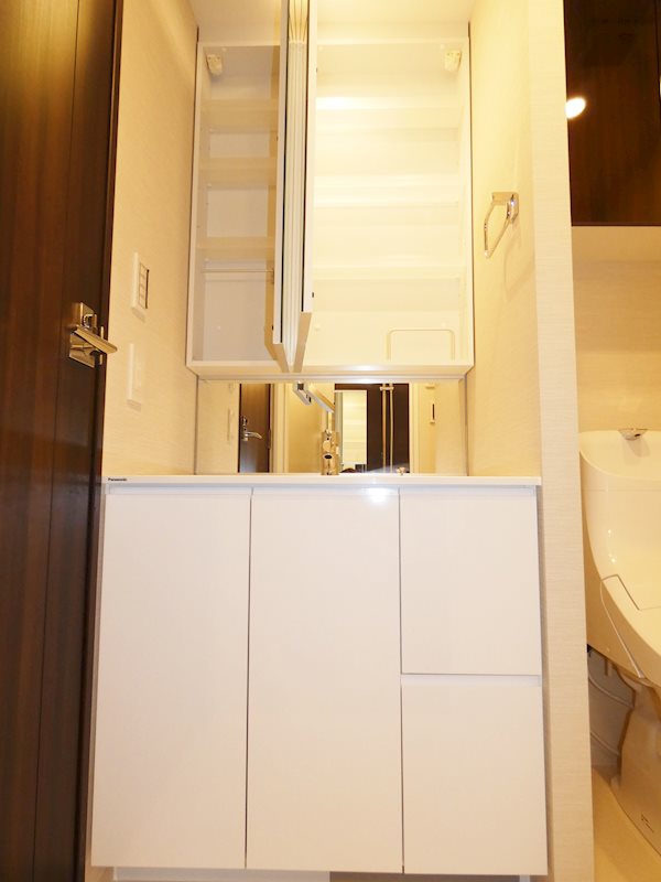 シティタワー大井町  その他17