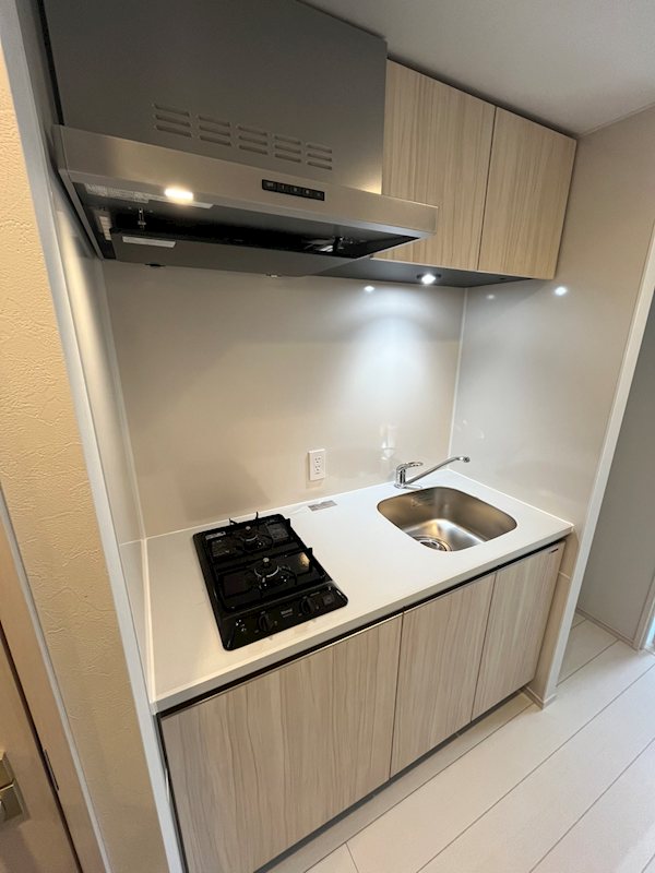 ブランシエスタ品川大井町パークエッジ キッチン