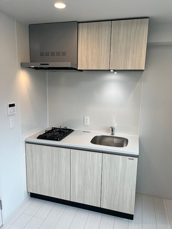 ブランシエスタ品川大井町パークエッジ キッチン