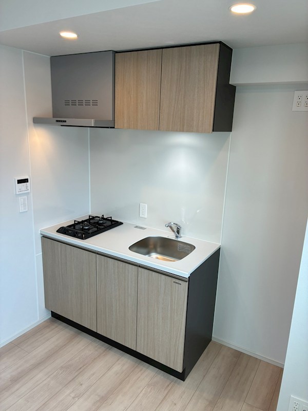 ブランシエスタ品川大井町パークエッジ キッチン