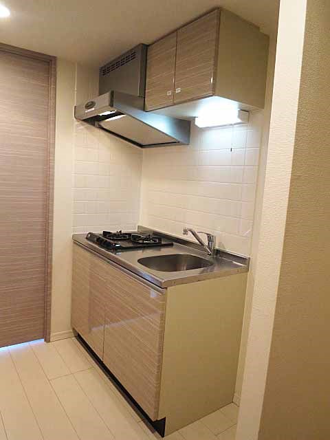 カスタリア大井町 その他19