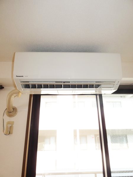 ステラK その他6