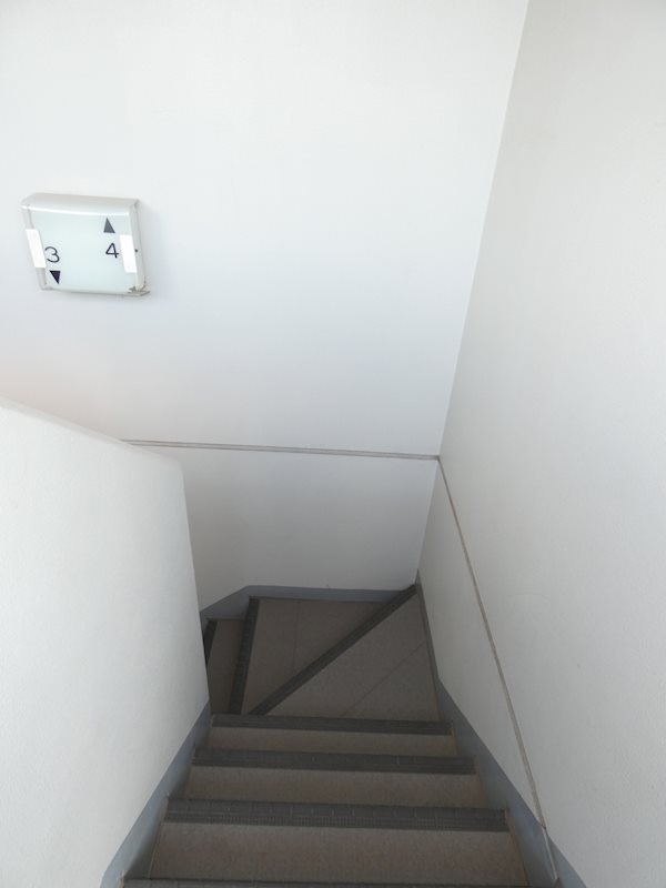 ステラK その他11