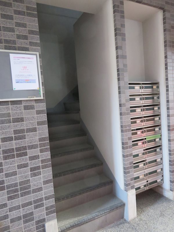 ステラK その他12