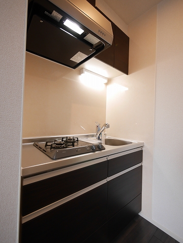 メゾン　ハルナ キッチン