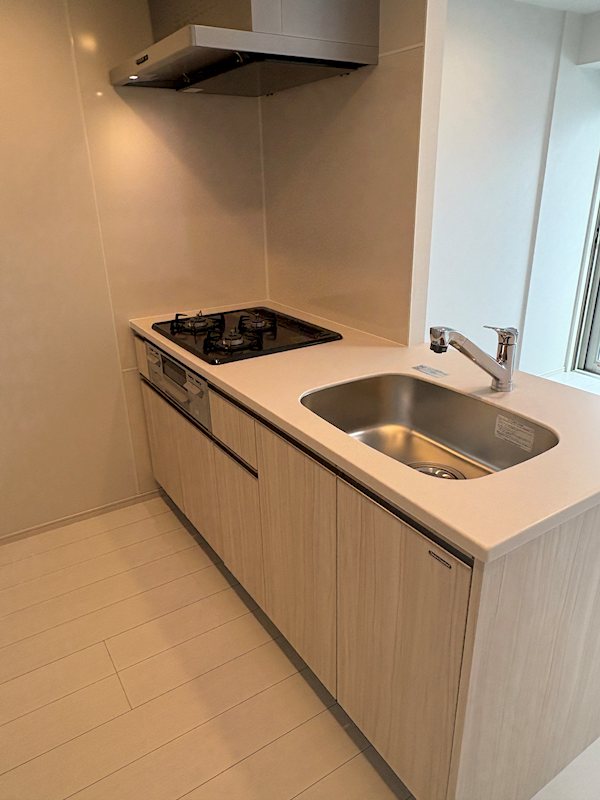 ブランシエスタ品川大井町パークエッジ    キッチン