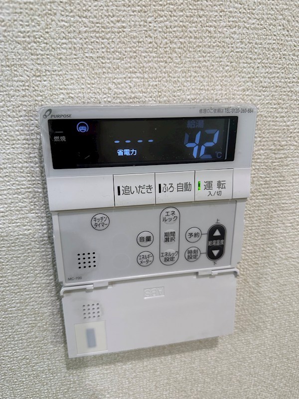 パレスガル その他5