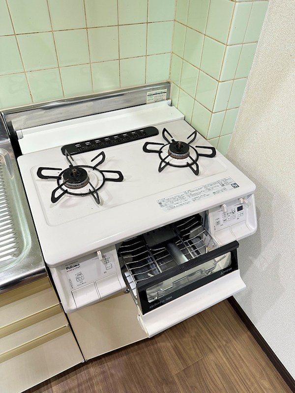 パレスガル その他10