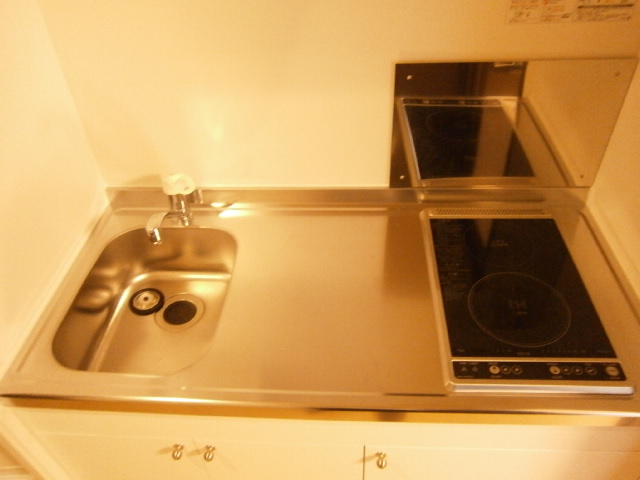 レオネクストボヌールⅡ キッチン