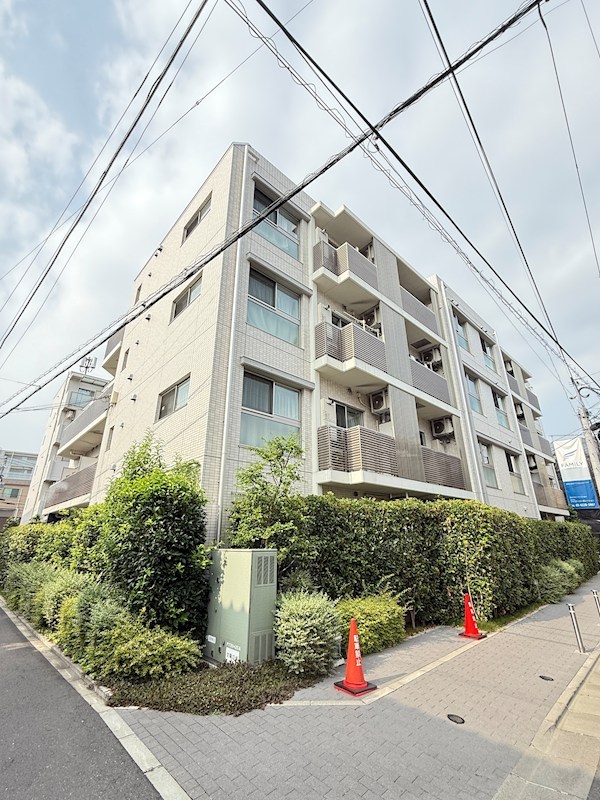 Stella 207号室 外観