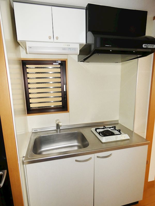 ダール大井 その他10