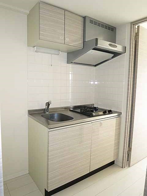 カスタリア大井町  その他19