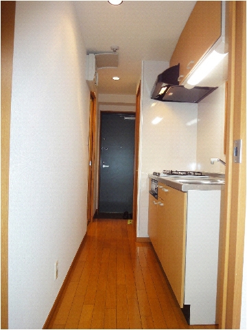 セルリアンハウス  その他13