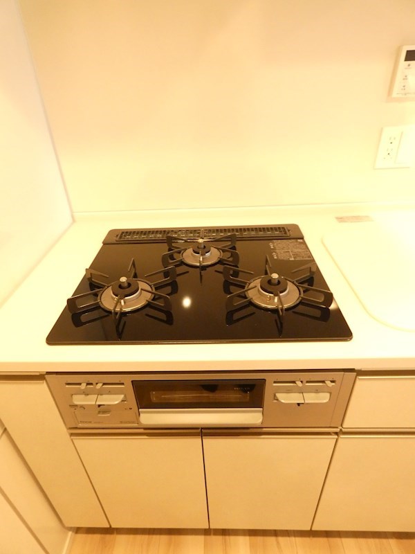 ルフォンプログレ西大井プレミア その他10