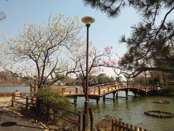 フレンシア洗足池  その他17