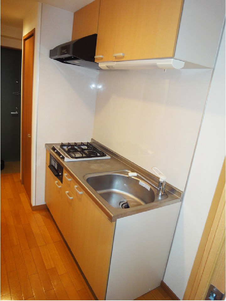 セルリアンハウス  その他3