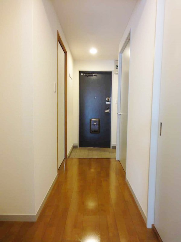 ステラメゾン大森 その他14