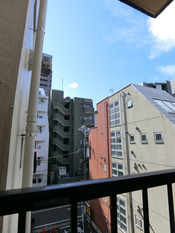 ハイネスオオネダ その他6