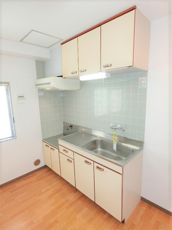 ハイネスオオネダ キッチン