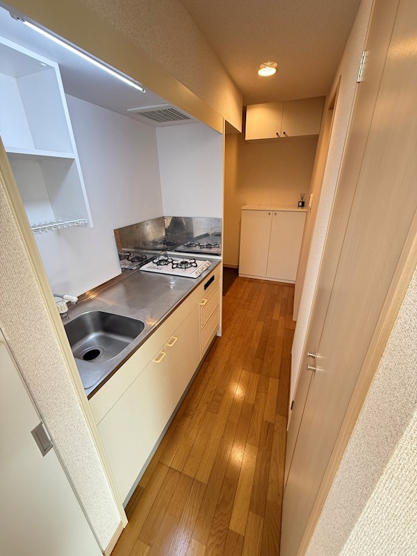 リリーレジデンス その他13