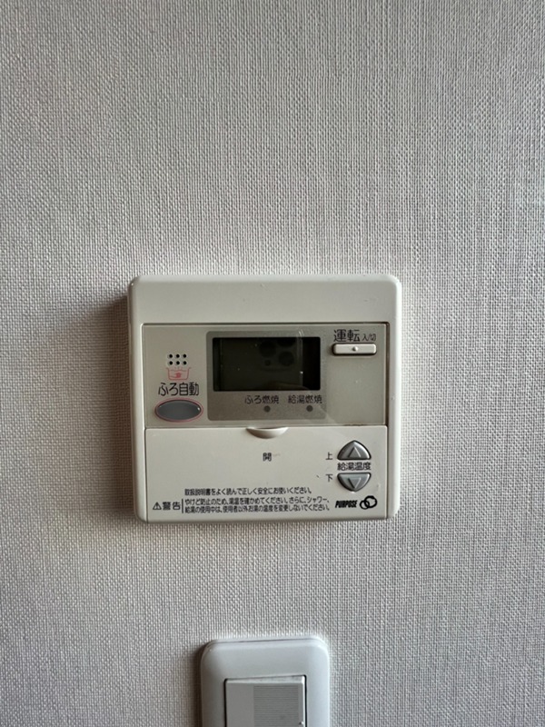 フェリシア その他3