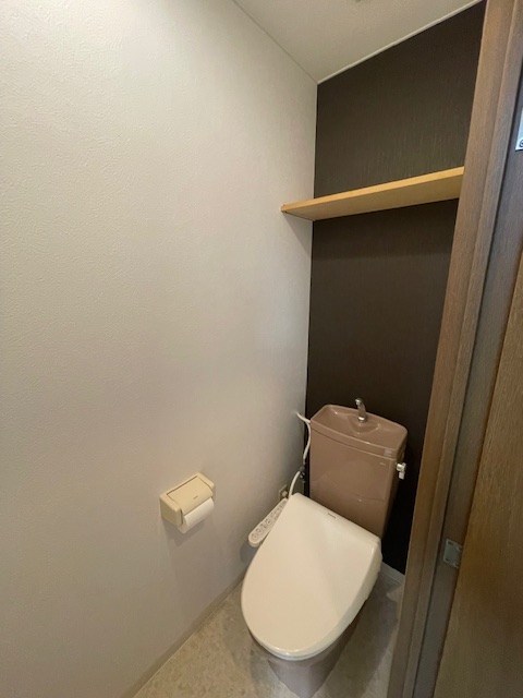 ステラK その他2