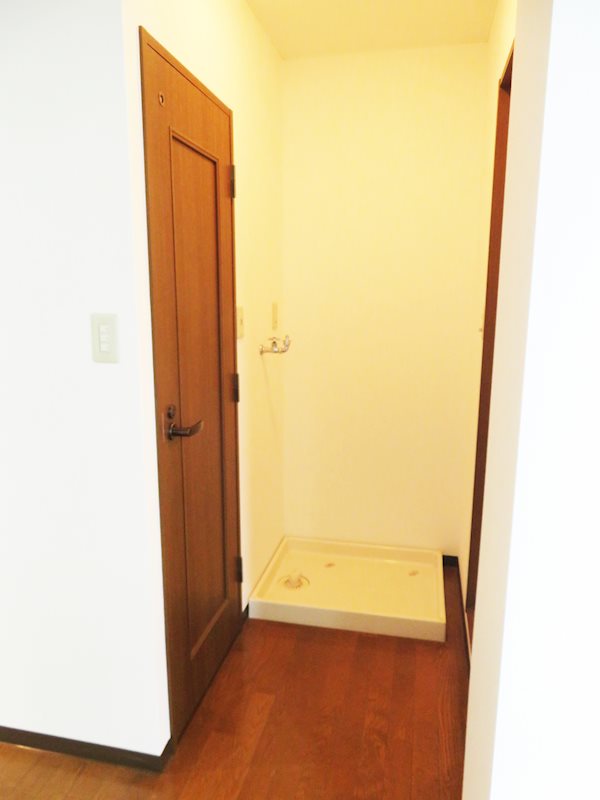 ステラK その他3