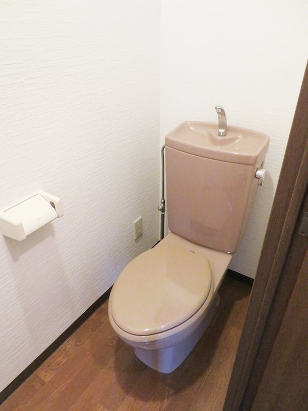 ステラK その他4