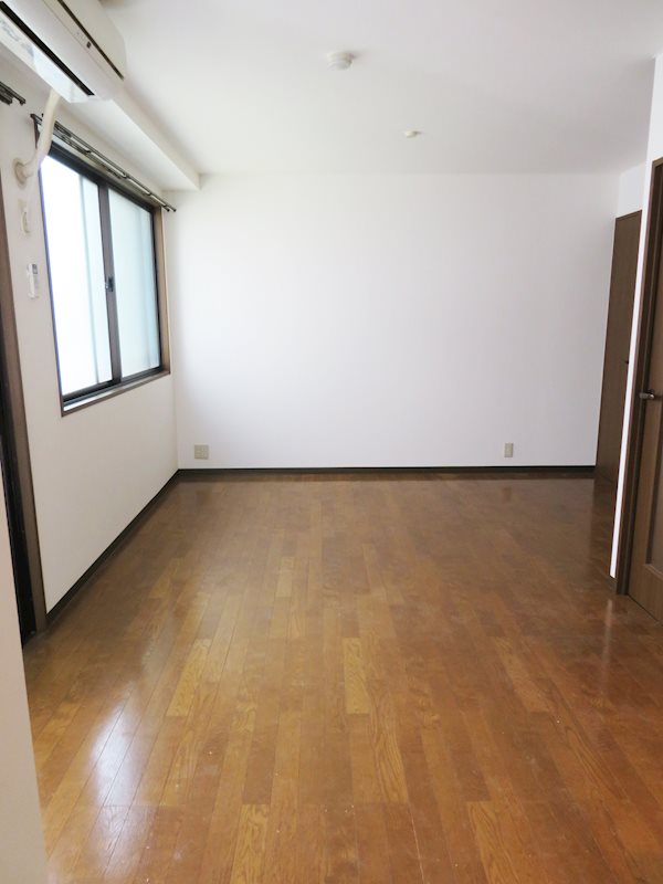 ステラK その他7