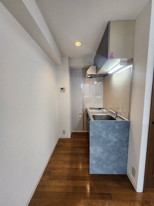 ステラK その他8