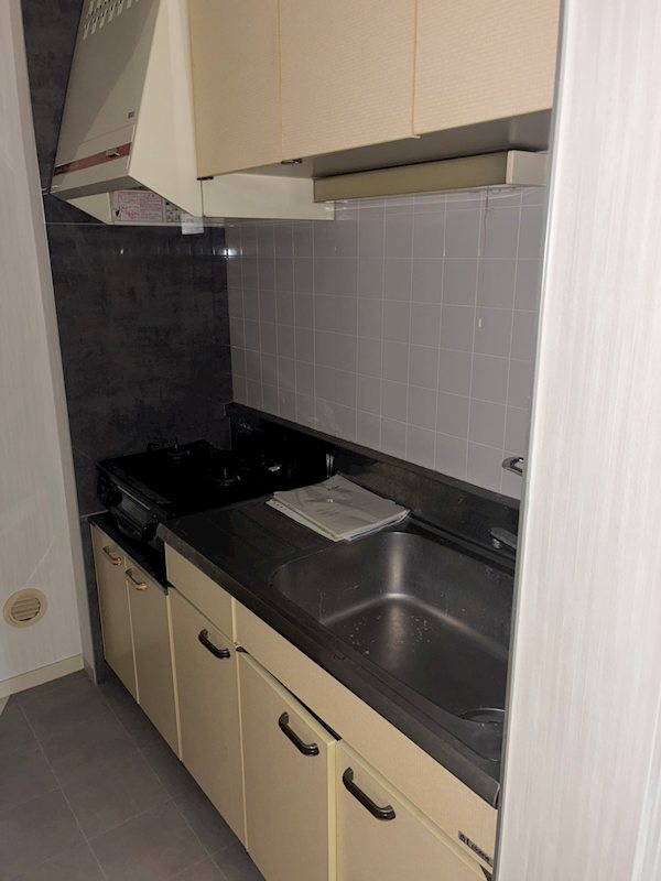 ヴィラ・カメリア キッチン