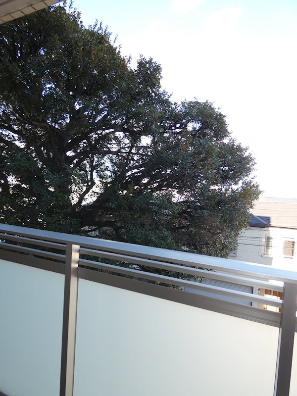 フレンシア南品川 その他2