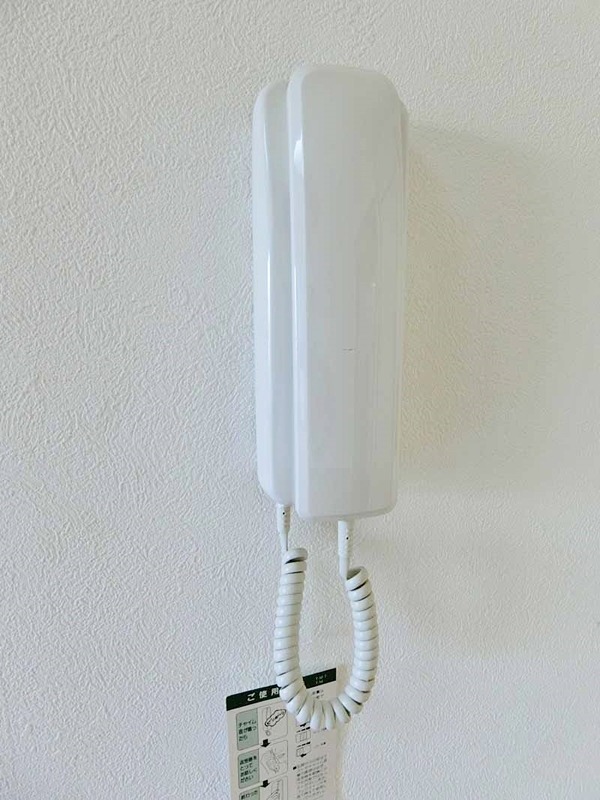 ホワイトホルン その他5